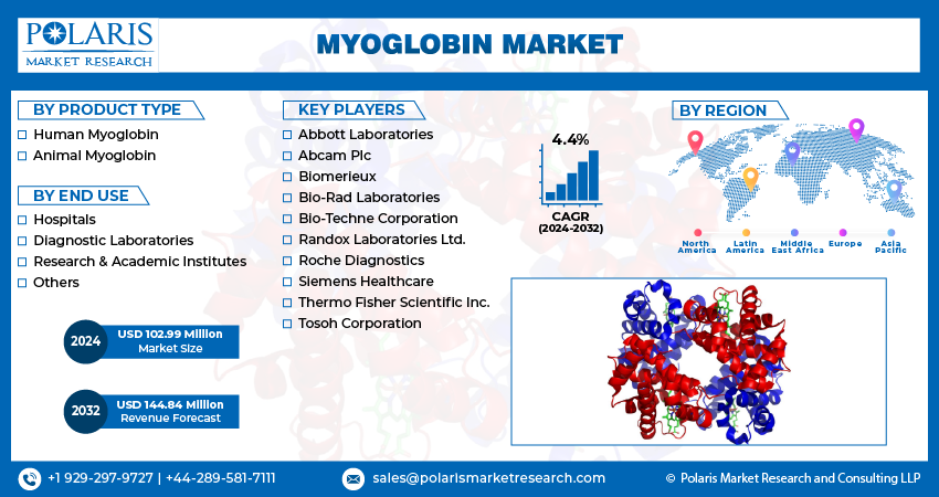 Myoglobin